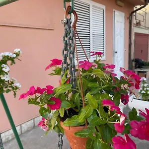 I Colori Della Quiete Appartamento Ravenna